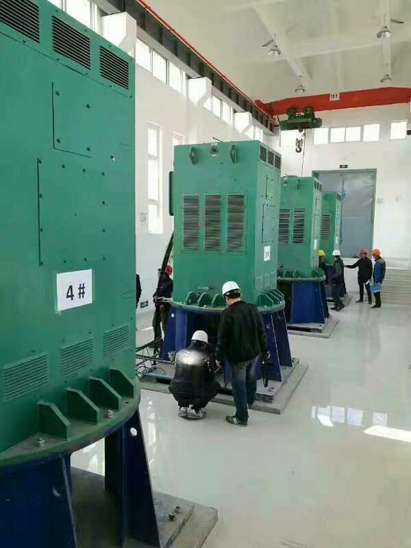 淄川某污水处理厂使用我厂的立式高压电机安装现场